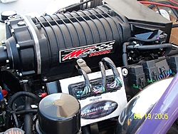 496mag HO - Whipple Supercharger --100_0441%2520-custom-.jpg