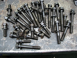 Misc left over Parts-head-bolt-sbc-manley-.jpg