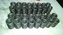 Solid Roller Cams and Lifters-springs-2.jpg