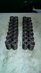 Solid Roller Cams and Lifters-springs-1.jpg