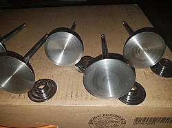 Dart Severe Duty 2.25 Stainless steel Intake valves-20170501_014142.jpg