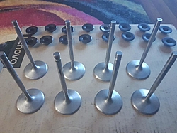 Dart Severe Duty 2.25 Stainless steel Intake valves-20170501_014038.jpg