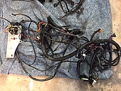 502 Complete wiring harnesses(2)-injected-img_2370.jpg