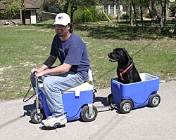 The B.S. Thread-les_dog1.jpg