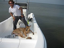 The B.S. Thread-deerf.jpg