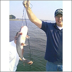 The B.S. Thread-kevin-catfish.jpg