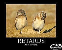 The B.S. Thread-tards.jpg