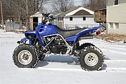 The B.S. Thread-banshee-1.jpg