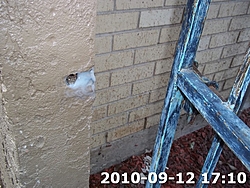 The B.S. Thread-100_0383.jpg