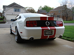 Any Mustang GT People around, Exhaust Question??-dsc01035.jpg