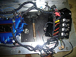 525 efi upper and lower intake,fuel rails,injectors,and throttle body-525harness.jpg